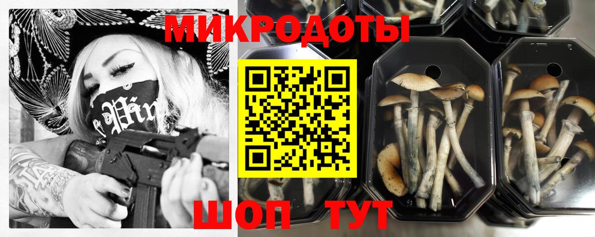 Псилоцибиновые грибы GOLDEN TEACHER Копейск